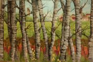 Paper Woods